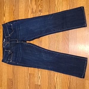 American Eagle Artist Crop Jeans